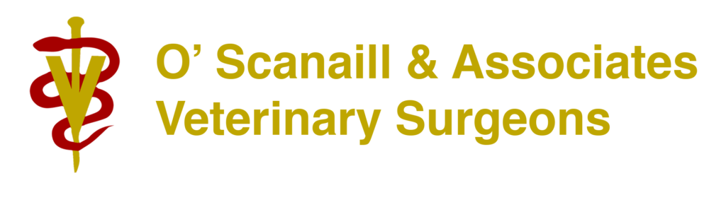 O Scanaill Vets – A Veterinary Clinic based in Ashbourne and Lusk